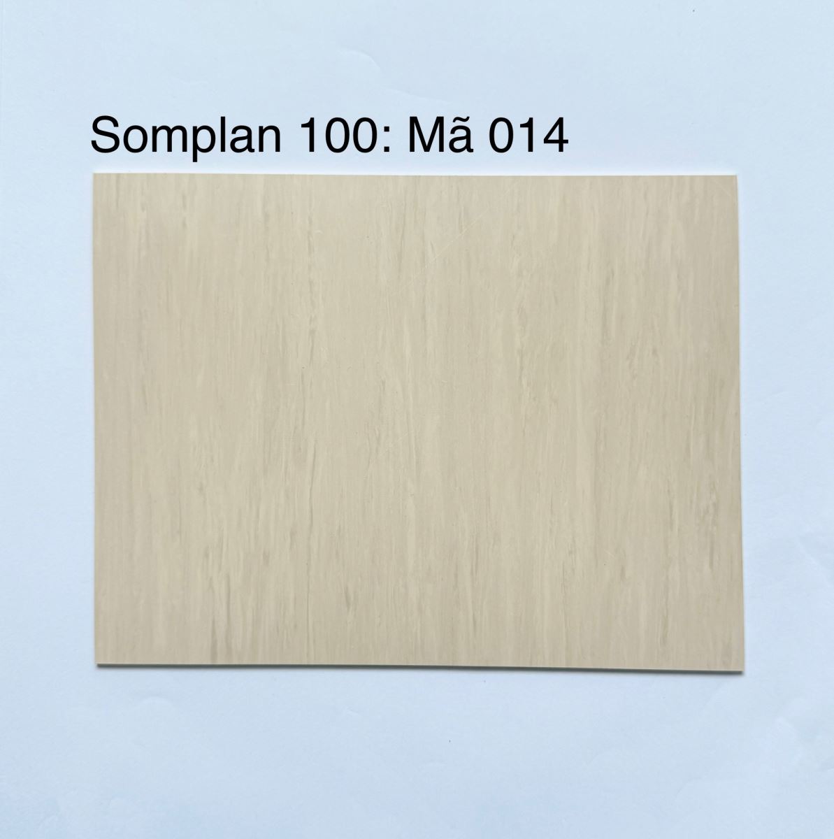 SÀN VINYL KHÁNG KHUẨN SOMPLAN 100014, SÀN VINYL KHÁNG KHUẨN