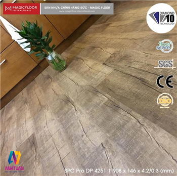 nhung-loai-san-nhua-pho-bien-hien-nay