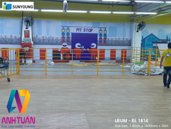 san-nhua-vinyl-sunyoung