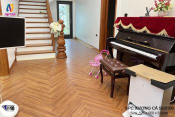 san-xuong-ca-nen-dung-loai-nao